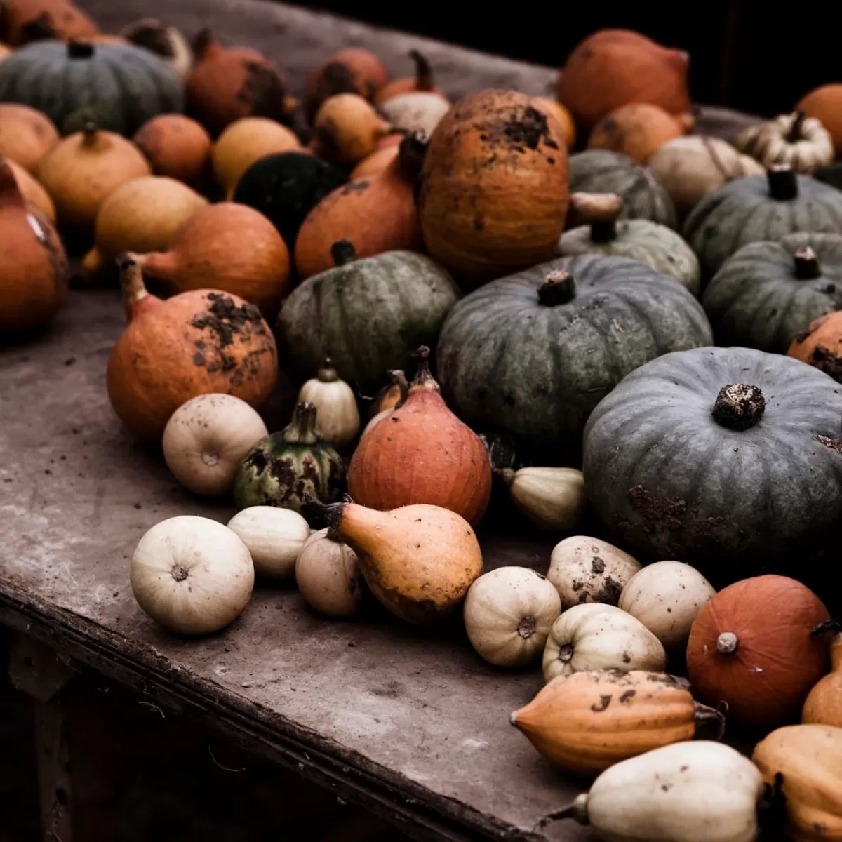 Market Garden Mixed Squash>Daylesford Organic New