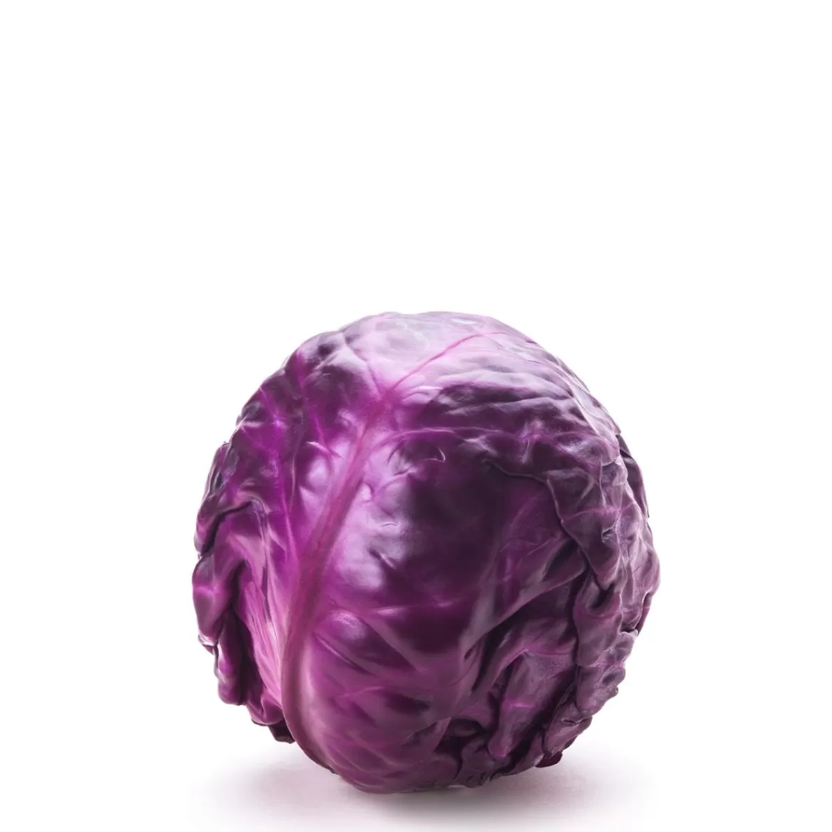 Red Cabbage>Daylesford Organic Store